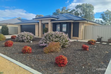 Property photo of 45 Flinders Street Renmark SA 5341