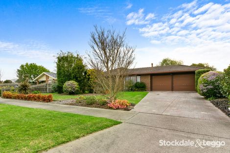 Property photo of 6 Greenfield Drive Traralgon VIC 3844