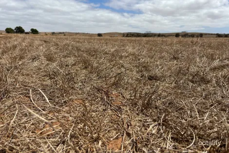 Lot 67 South Coast Rd, Tumby Bay, SA 5605