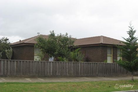 Property photo of 36 Robyn Avenue Albanvale VIC 3021