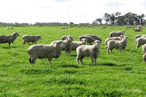 7858 Wakool Rd, Wakool, NSW 2710