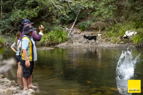 Property photo of 721 Upper Avon Road Craven NSW 2422