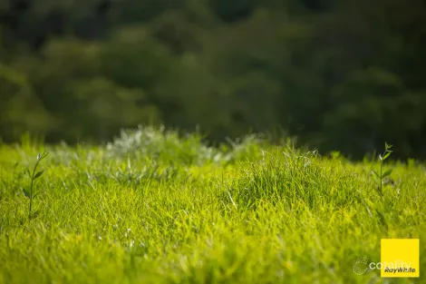 Property photo of 721 Upper Avon Road Craven NSW 2422