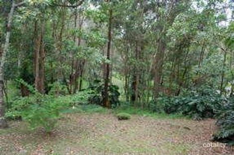 Property photo of 81 Yarrimbah Drive Nerang QLD 4211