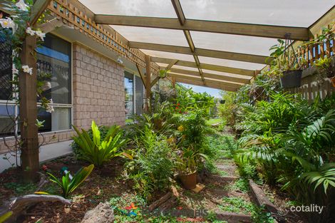 Property photo of 14 Central Parade Murwillumbah NSW 2484