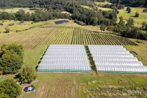 26 Timber Top Rd, Glenreagh, NSW 2450