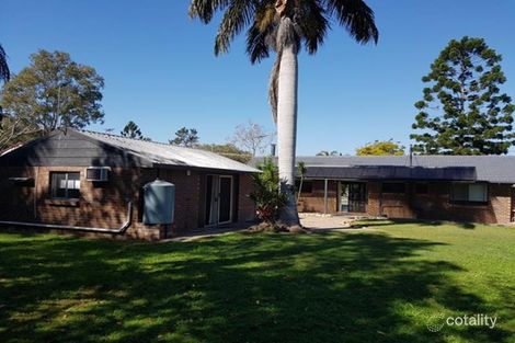 Property photo of 44 Allamanda Drive Daisy Hill QLD 4127