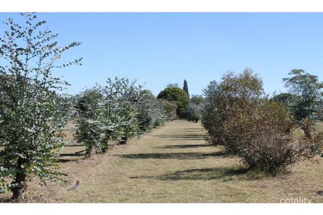 Property photo of 1335 Warwick Yangan Road Yangan QLD 4371