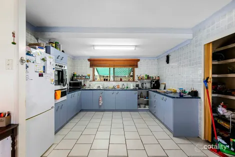 Property photo of 31 Colyton Street Torquay QLD 4655