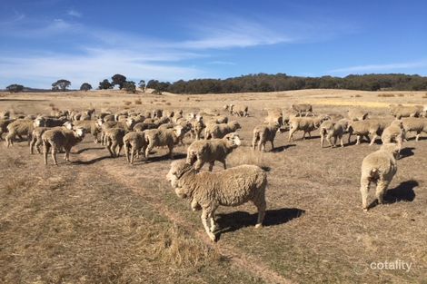 90 Moonambel-Warrenmang Rd, Moonambel, VIC 3478