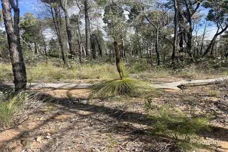 1013 Dandry Rd, Dandry, NSW 2357