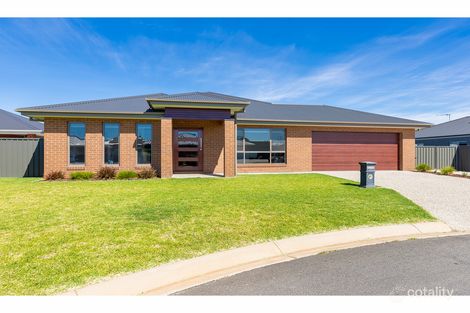 Property photo of 9 Lorikeet Close Thurgoona NSW 2640