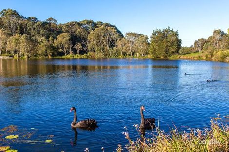 Property photo of 8 Petrus Place Sippy Downs QLD 4556