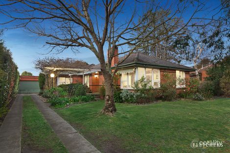 Property photo of 7 Meteor Street Mount Waverley VIC 3149