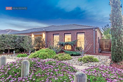 Property photo of 9 Frogmouth Court Williams Landing VIC 3027