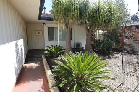 Property photo of 33 Fox Street Narrogin WA 6312