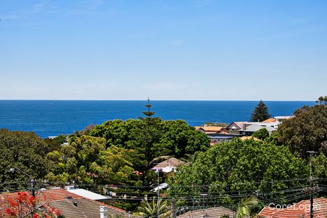 Property photo of 53 Knox Street Clovelly NSW 2031