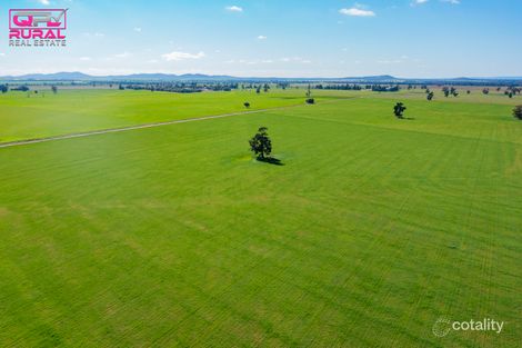 586 South Yalgogrin Rd, Barellan, NSW 2665