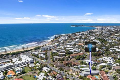 3/17 Pacific Tce, Alexandra Headland, QLD 4572