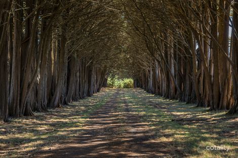 Property photo of 211 Boundary Road Woodend VIC 3442