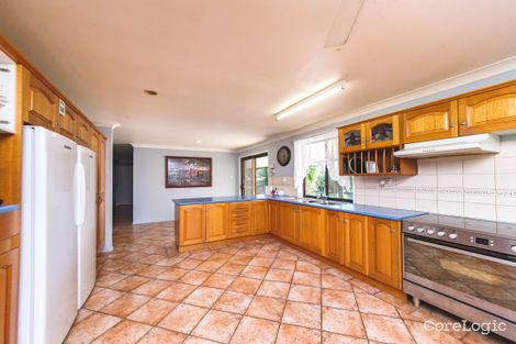 Property photo of 703 Ridgelands Road Alton Downs QLD 4702