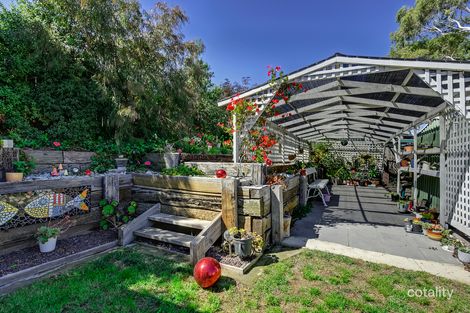 Property photo of 9 Joel Avenue Carlton TAS 7173