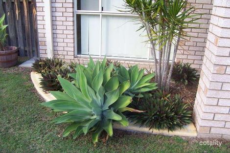 Property photo of 1 Palmer Place Narangba QLD 4504