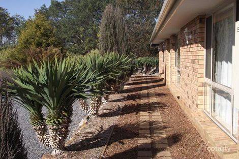 Property photo of 1437 Birralee Road Birralee TAS 7303