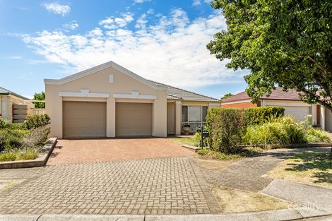 Property photo of 41 Chittleborough Circuit Morphettville SA 5043
