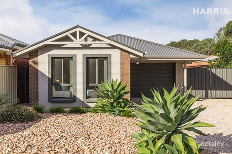 13 Seymour Ave, Modbury, SA 5092