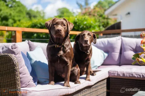 Property photo of 3 Leake Place Curtin ACT 2605