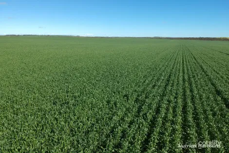 Lot 1512m Nanekine Rd, Mingenew, WA 6522