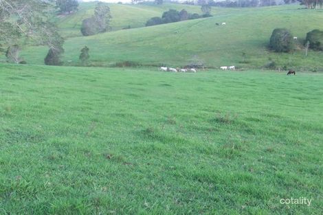 Property photo of 1023 Taylors Arm Road Utungun NSW 2447