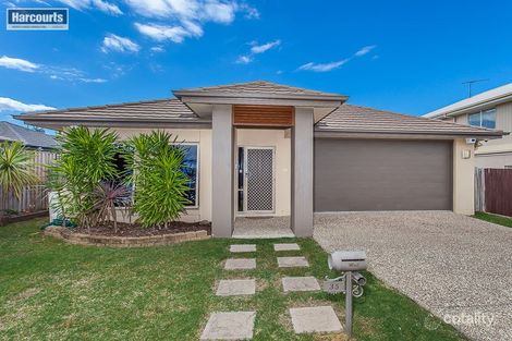 Property photo of 35 Langer Circuit North Lakes QLD 4509
