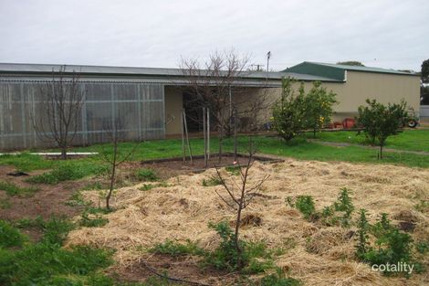 Property photo of 21 Parnell Terrace Price SA 5570