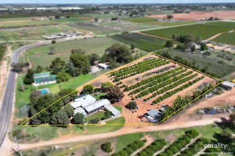 199 Pumps Rd, Red Cliffs, VIC 3496