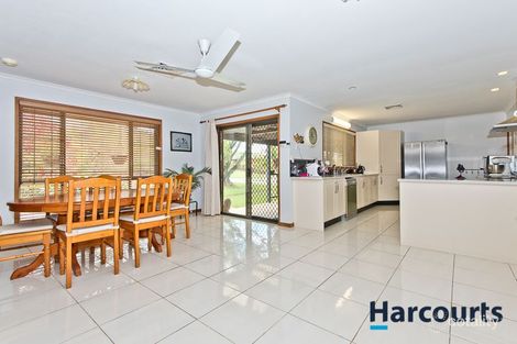 Property photo of 1 Cognac Court Petrie QLD 4502