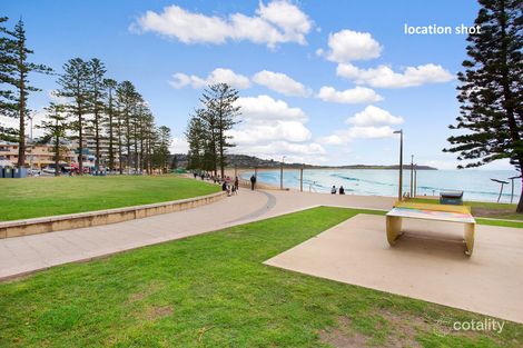 Property photo of 6/17 Grafton Crescent Dee Why NSW 2099