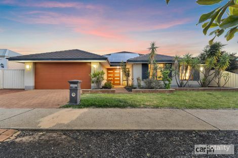 33 Jackadder Ave, Hammond Park, WA 6164