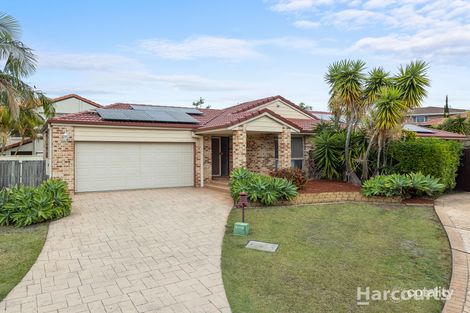 Property photo of 5 Red Pine Court Calamvale QLD 4116