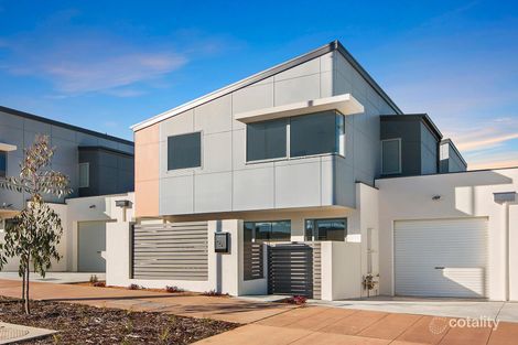 14 Crossman St, Amaroo, ACT 2914