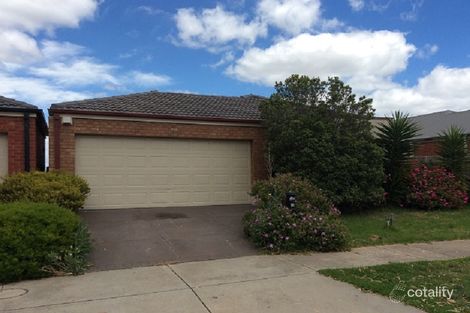 43 Caitlyn Dr, Harkness, VIC 3337