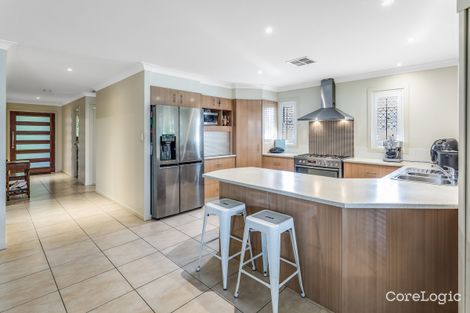 Property photo of 21 Lillydale Street Carseldine QLD 4034