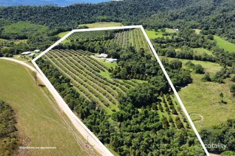 281 Dingo Pocket Rd, Dingo Pocket, QLD 4854