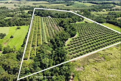 Property photo of 281 Dingo Pocket Road Dingo Pocket QLD 4854