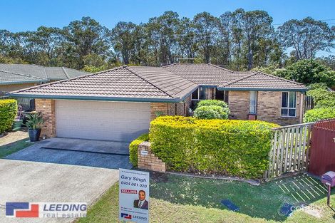Property photo of 12 Lourdes Place Boondall QLD 4034