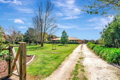 Property photo of 43 Kirip Road Glencoe SA 5291