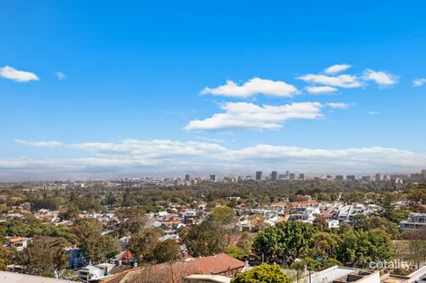 Property photo of 802/80 Ebley Street Bondi Junction NSW 2022