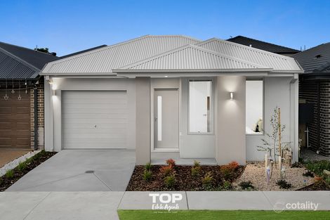 Property photo of 51 Benoit Circuit Clyde North VIC 3978