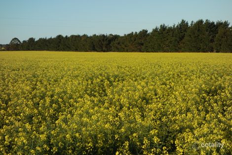 151 Backmans Rd, Neridup, WA 6450